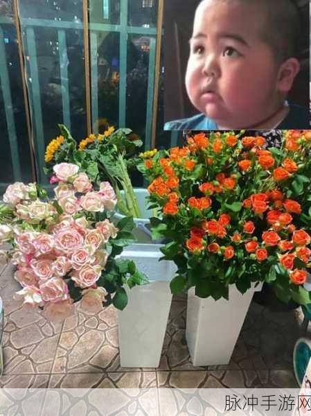 51cg今日必吃：今日必吃，探索51cg美食新风潮！