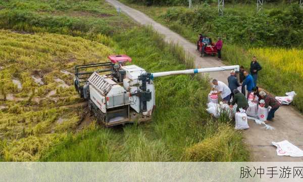 儿子帮妈妈耕种荒废的田：儿子携手母亲重耕荒田，共绘丰收新景象