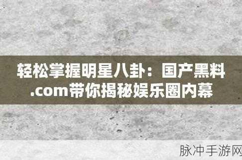 黑料八卦网：揭秘娱乐圈背后的黑料与八卦，真相大白无遗！