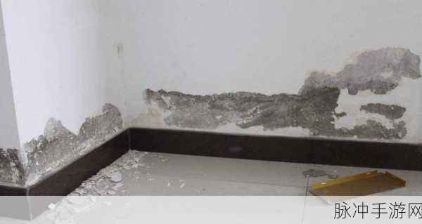 在卫生间门口和王总干：在卫生间门口与王总的意外相遇，引发的故事。