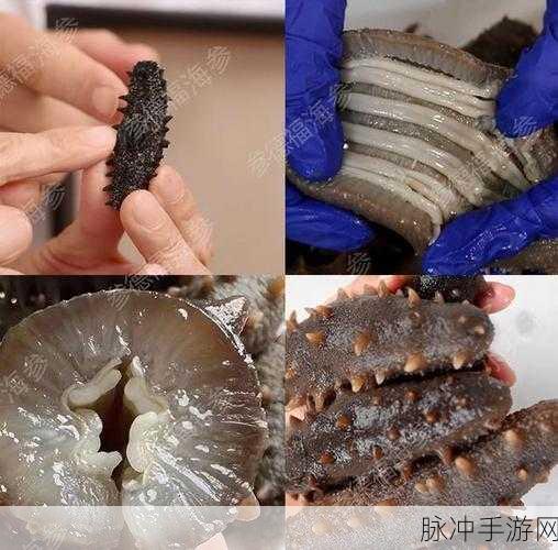 黑料网-今日黑料：拓展黑料网，今日重磅揭秘最新热点资讯与内幕真相