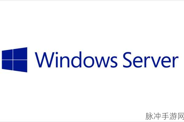 日本少妇windowsserver：日本少妇在Windows Server上的实用技巧与经验分享