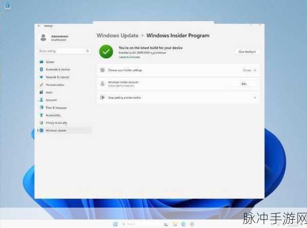 日本少妇windowsserver：日本少妇在Windows Server上的实用技巧与经验分享