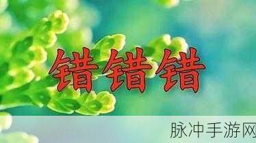 一起错错错：一同走过的错误与成长：错错错中的人生启示