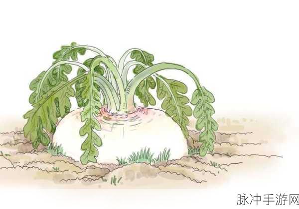 光腿拔罗卜：光腿拔萝卜：夏日清凉与趣味的完美结合