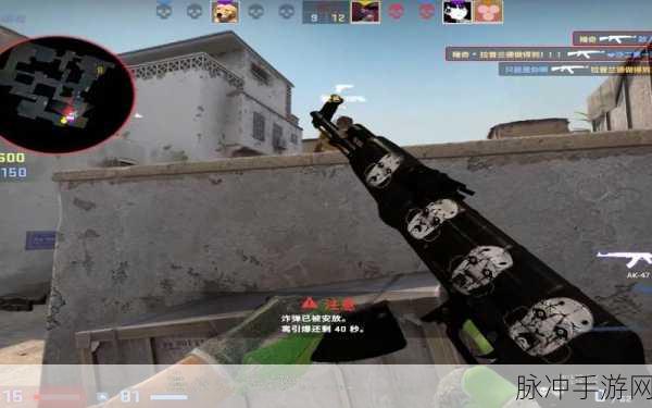 躁少女csgo：勇敢追梦的躁少女：CSGO中的战斗与成长