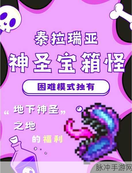 探索泰拉瑞亚，房间码的神秘所在与玩法全解