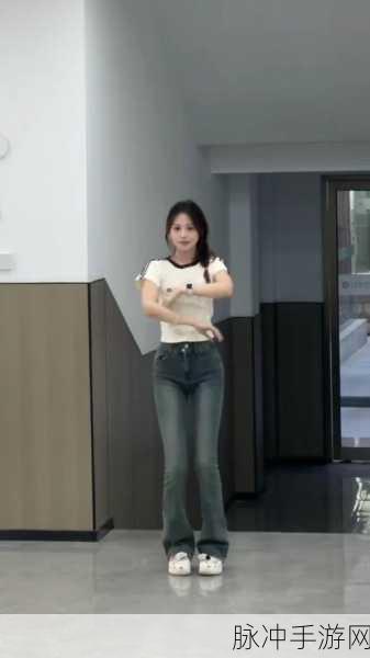 GOGOGO中国剧情介绍与评价：《GOGOGO中国》：探索多元文化与青春冒险的激情之旅