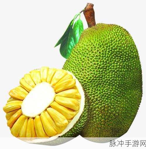 菠萝蜜视频高清免费看亮点：免费观看拓展菠萝蜜视频，畅享精彩亮点尽在其中！