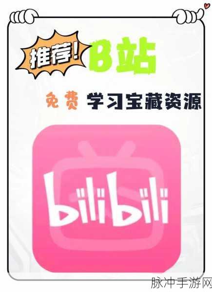 免费b站网站：如何在B站上免费观看优质视频资源的方法与技巧