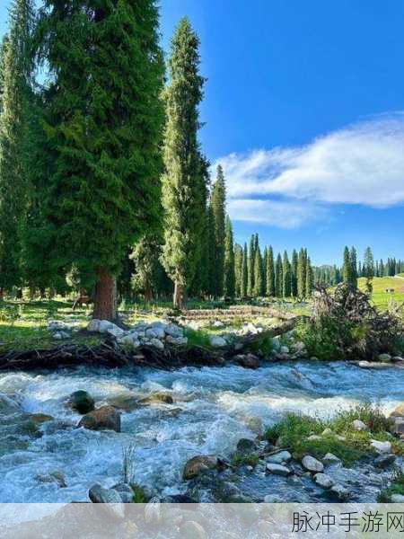 日本一卡二卡三卡免费观看：随心所欲畅享日本一卡二卡三卡免费观看的乐趣