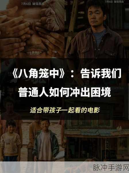 八角笼中开拍前投资全撤公司：八角笼拍摄前夕投资全撤，影视项目陷入困境分析