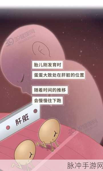 女生吃男生的睾丸是怎么回事：探讨女生为何会对男生的睾丸产生兴趣与行为分析