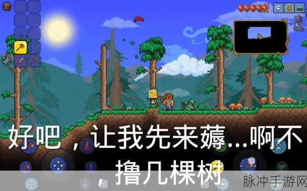 泰拉瑞亚京塔：“探索泰拉瑞亚京塔：冒险与挑战的全新篇章”