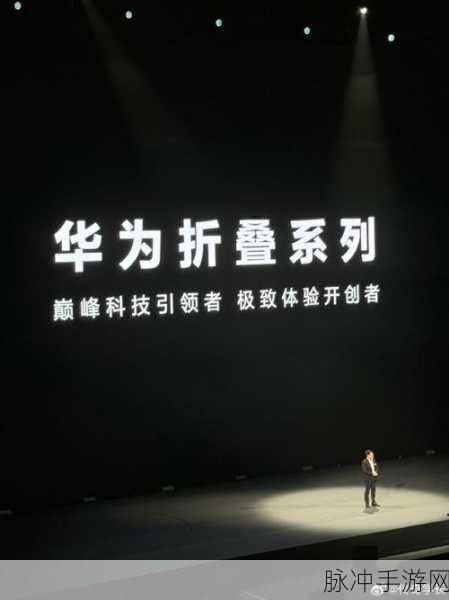 拔插拔插海外华为永久：华为在海外市场的持续扩展与创新战略分析