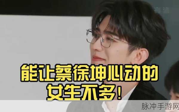 男生将坤坤申请女生的句号里：男生向坤坤申请女生角色的趣味探索与反思