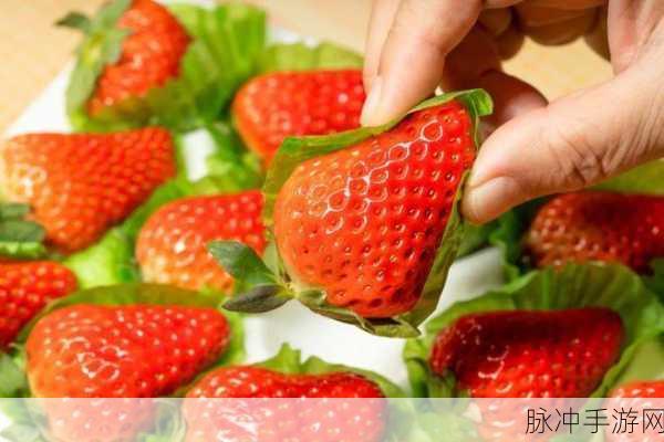 草莓视频a啪啪：探索草莓视频a啪啪：畅享激情与乐趣的全新体验！