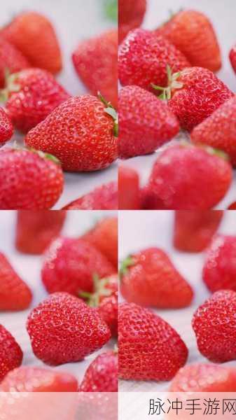 草莓视频2458：草莓视频2458：探索精彩内容，感受视听盛宴的魅力与乐趣