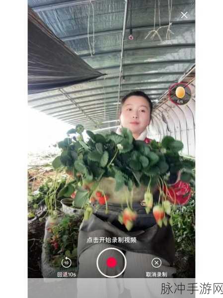 草莓视频2458：草莓视频2458：探索精彩内容，感受视听盛宴的魅力与乐趣