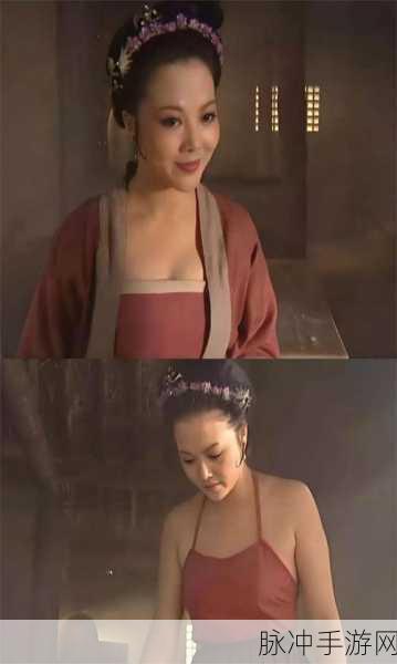 精品久久久潘金莲：潘金莲传奇：红尘中的情欲与挣扎