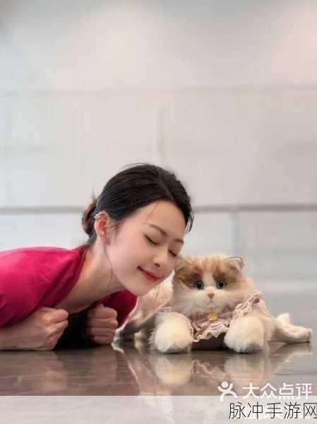 我爱搞52.／APP：爱搞52：探索生活中的乐趣与创意，发现无限可能！