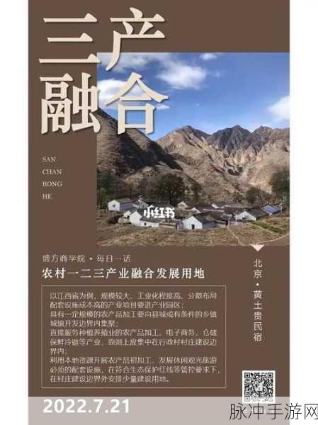 99精产国品一二三产区入口：拓展99精产国品一二三产业区域进口新战略探索与实施