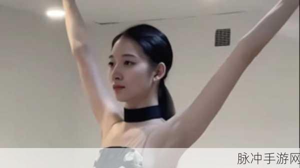 B站暴躁姐的舞蹈风格分析：深入剖析B站暴躁姐独特舞蹈风格的魅力与影响