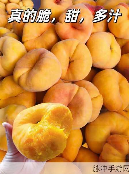 坤坤戳进桃子：坤坤与桃子甜蜜互动，开启缤纷水果之旅