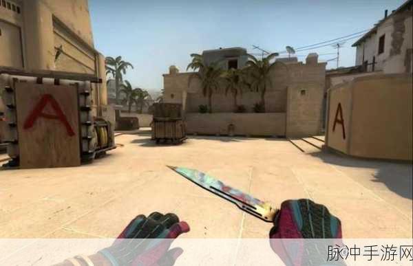 俄罗斯卖csgo的网站：扩展俄罗斯CS：GO游戏道具交易网站的新机遇与挑战