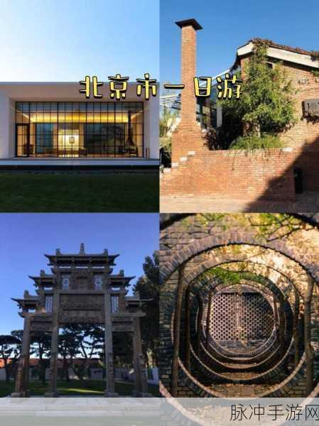 yy一区：“探索YY一区的无限魅力与多元文化之旅”