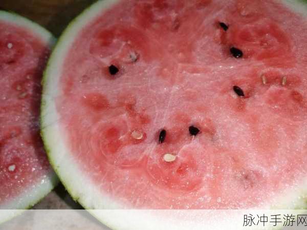 5ICGI0今日吃瓜：今日吃瓜：揭秘5ICGI0背后的鲜为人知的故事！