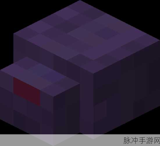 我的世界里面是不是有一个生物叫做暗影之王：《我的世界》中的暗影之王：神秘生物揭示的秘密与挑战