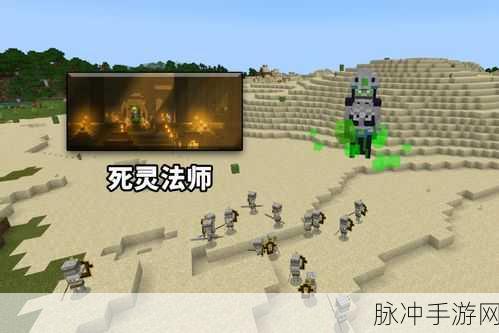 我的世界里面是不是有一个生物叫做暗影之王：《我的世界》中的暗影之王：神秘生物揭示的秘密与挑战