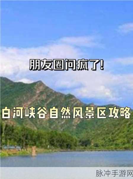 天堂资源地址在线：探索最新的拓展天堂资源地址获取方式与技巧