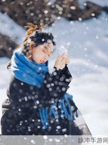 坤坤寒进开元里：坤坤寒进开元里：探索冬日里的温暖与魅力