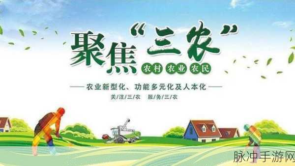 福建大菠萝：福建大菠萝：探索乡村振兴与产业发展的新机遇