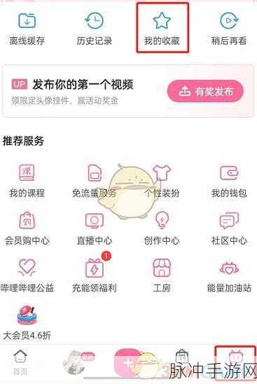 哔哩哔哩污染入口在哪里：探讨哔哩哔哩内容污染现象及其解决方案