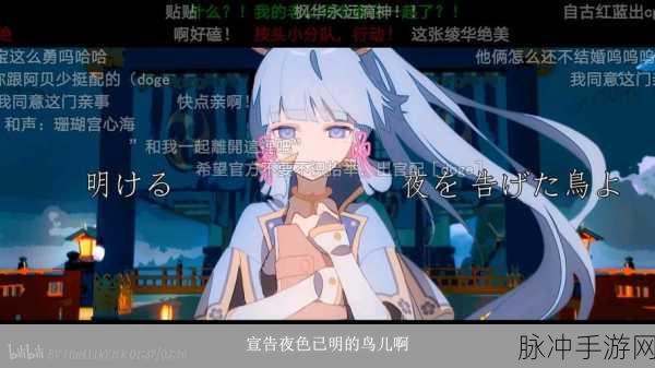 哔哩哔哩污染入口在哪里：探讨哔哩哔哩内容污染现象及其解决方案