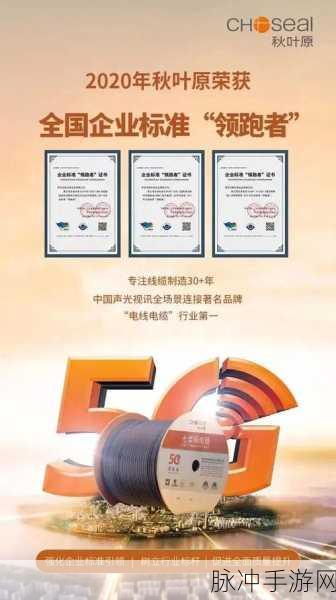 日本高清连接线：提升日本高清连接线性能，畅享极致影音体验