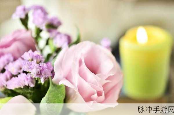 一个好妈妈的女儿D3申字：一个好妈妈的女儿：成长与爱的旅程