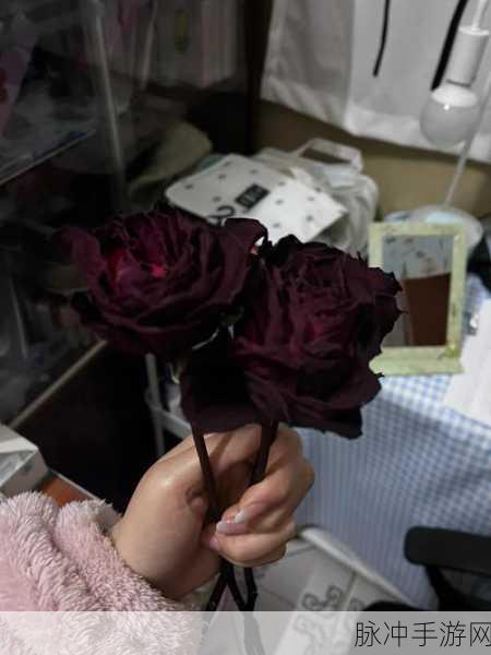 黑玫瑰1v2心语：黑玫瑰的秘密：在阴影中绽放的双重心语