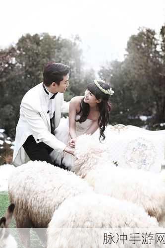 我们结婚了世界版完整版：我们结婚了：全球情侣甜蜜生活全纪录