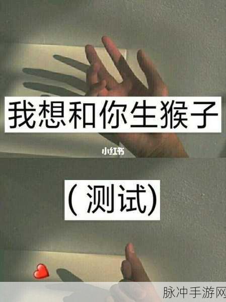 免费下载生猴子软件的软件：轻松获取生猴子软件的免费下载安装方法分享