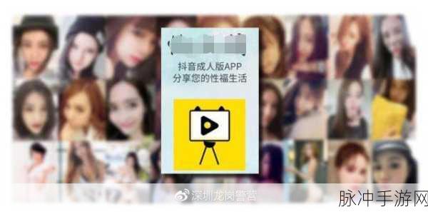 抖音成人版pmv：探索成人版PMV的魅力与创作技巧，带你领略新视角！