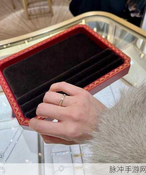 满天星法国酒店服务生：提升满天星法国酒店服务生的专业素养与客户体验