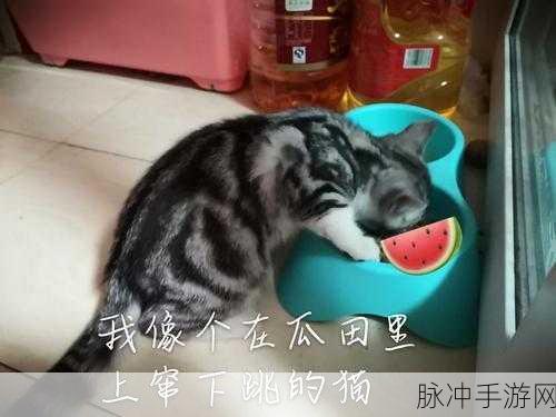 蘑菇吃瓜料每日爆料：每日一爆：蘑菇吃瓜料带你揭秘生活中的趣闻轶事！