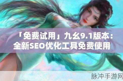 九幺高危风险9.1免费版安装大全：全面解析九幺高危风险9.1免费版安装方法与技巧