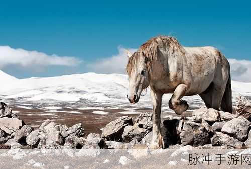 一马双跨by折枚针阅读：一马双跨：折枚针的创新与挑战之路
