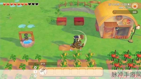 ZOOMSERVO兽狗牧场：探索ZOOMSERVO兽狗牧场的无尽乐趣与奇妙冒险之旅