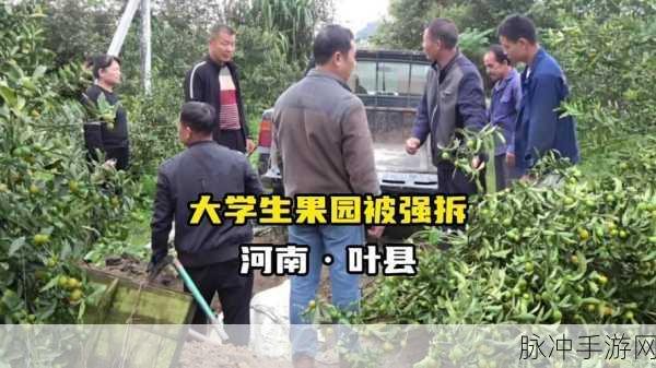 99国精产品灬源码的优势：全面解析99国精产品源码的独特优势与应用前景